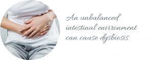 unbalanced intestine gut causes dysbiosis