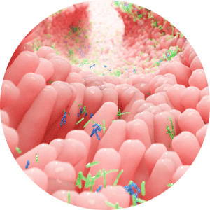 Gut Microbiome