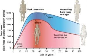 Age and Bone Density