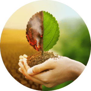 Dietary Changes Climate Change